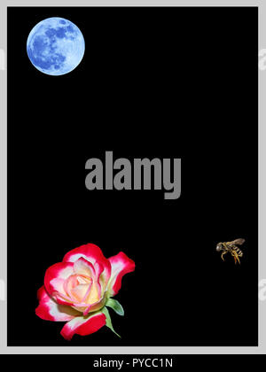 Luna, Bee and Flower Minimalist Poster v9.jpg - PYCC25