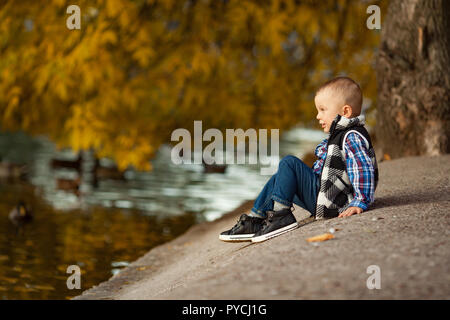 A little boy is sitting on a rock next to the lake during a walk in the park against the background of the yellow autumn trees and floating ducks. Stock Photo