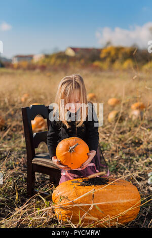 Child playing in the pumpkin field on Halloween Stock Photo