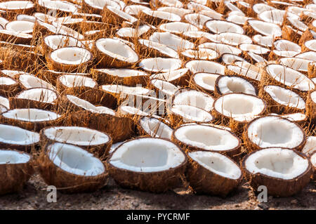 Coconut, halves, flesh, nut, coconut, half, pieces, fruit, exotic Stock ...