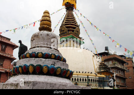 The birds around the stupa (and its eyes) in the middle of Kathmandu local market. Taken in Nepal, August 2018. Stock Photo