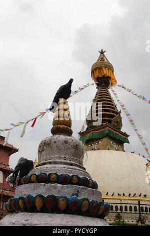 The birds around the stupa (and its eyes) in the middle of Kathmandu local market. Taken in Nepal, August 2018. Stock Photo