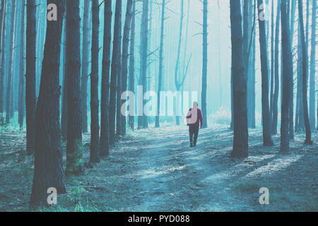 silhouette of a single man in the pine forest in the early misty morning Stock Photo