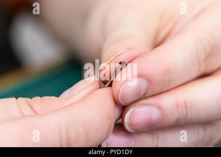 workshop of making the carved leather bag - craftsman inserts a thread in the eye of a needle to sew a handbag close up Stock Photo