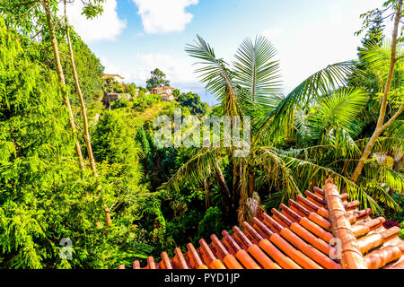 The japanese themed tropical garden outside of Funchal on the island of Maderia - Portugal Stock Photo