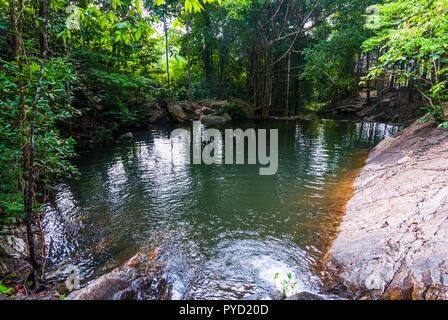 Small pond in the jungle, Koh Pha Ngan, Thailand Stock Photo