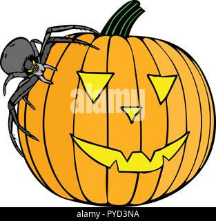 Colour vector graphic of pumpkin with carved face with black spider standing on its side. Stock Vector