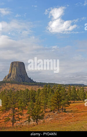 The Devils Tower over the forest Stock Photo