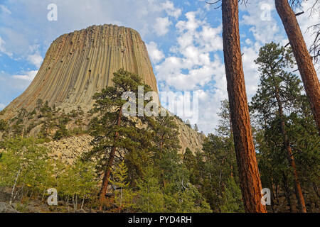 Devils Tower summit seen through the trees Stock Photo