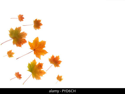 Autumn composition. Frame made of autumn maple leaves on white background. Flat lay, top view, copy space Stock Photo