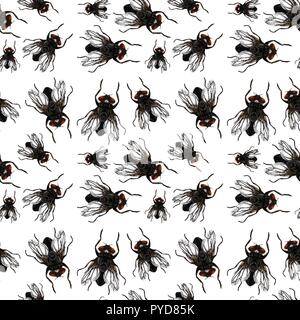 Seamless pattern of flys illustration Stock Vector