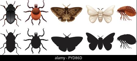 Set of insects and silhouettes illustration Stock Vector