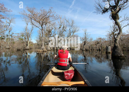 Canoeing expedition on a pond in Merchants Mill Pond State Park, near Elizabeth City, North Carolina Stock Photo