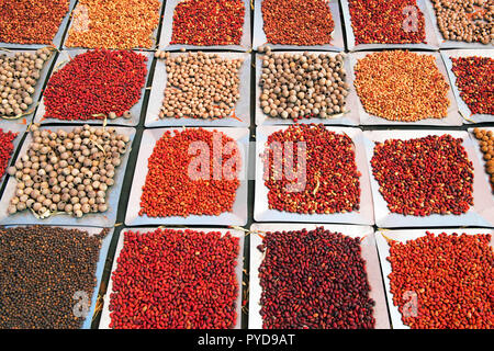 Bush Seeds gathered near Kings Creek Station, Northern Territory, Australia Stock Photo