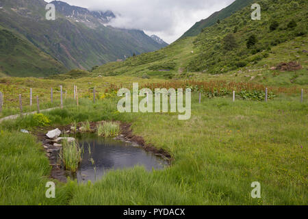 Mountain landscape near Andermatt, Switzerland Stock Photo