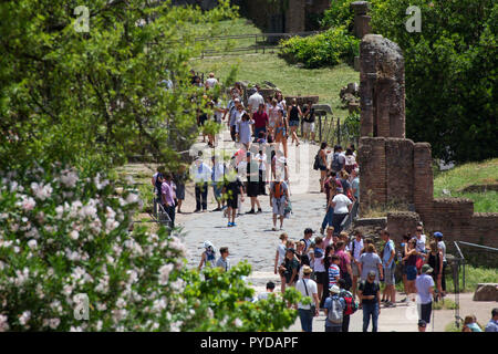 Walking on the Via Sacra (Sacred Road), the main street of ancient Rome - Roman Forum Stock Photo