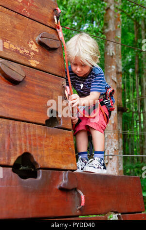 Brave young child in safety harness climb high on tree tops and train to fasten carabiner in adventure rope park. Outdoor activity,  active lifestyle  Stock Photo