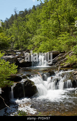 Devil's Den Falls in Talladega National Forest, Alabama Stock Photo - Alamy