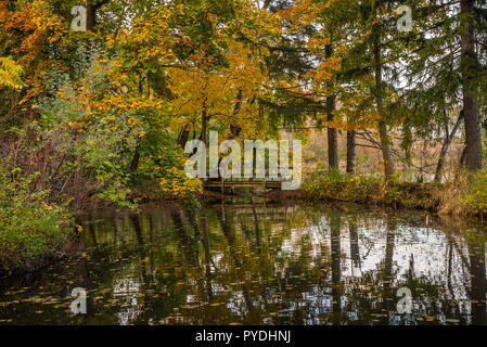 Pond in the autumn park with trees reflected in it Stock Photo