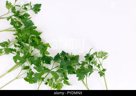 frame of sprigs of parsley. isolated on white Stock Photo