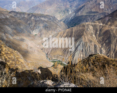 Colca canyon in Peru, The deepest canyon in world Stock Photo