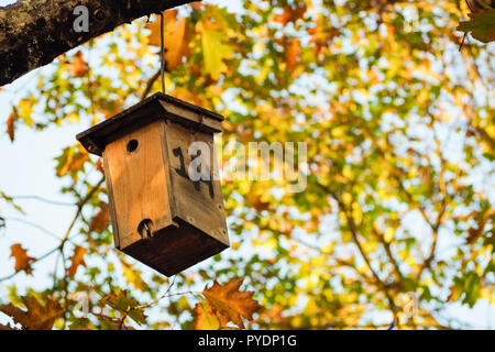 wood made bird house hanging up from a tree in autumn forest Stock Photo