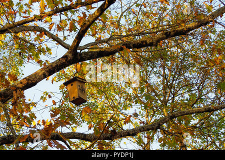 wood made bird house hanging up from a tree in autumn forest Stock Photo