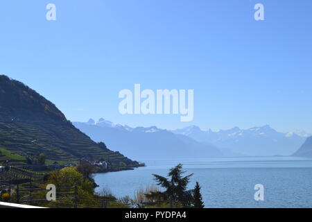 Lake Geneva (Lake Leman) pictured from Epesses train station. April 2018. Terraced vineyards produce chasselas grape for white wine Stock Photo