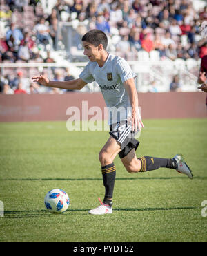 Joao Moutinho for LAFC Stock Photo