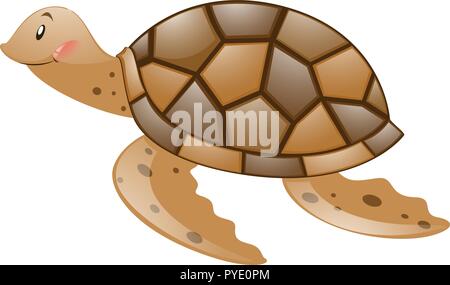 Brown turtle on white background illustration Stock Vector