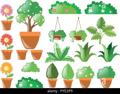 air plant types Buy Air Plant Fertilizer for Sale | Air Plant Food main image 0
