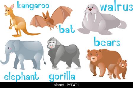 Different types of wild animals illustration Stock Vector