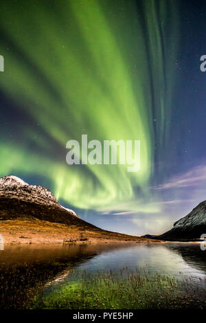 Aurora borealis, northern lights, active coloured curtains,coronas, moving across night sky ,Arctic Circle, Kvaloya ,island ,Troms ,Tromso, Norway Stock Photo