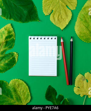 open notebook in line with white blank pages on a green background and two wooden pencils, next to yellow maple leaves, top view Stock Photo