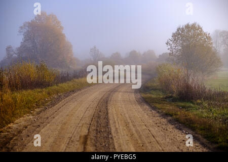 pleasing the senses or mind aesthetically country gravel road in autumn colors in fall colors with mist and foggy trees on both sides Stock Photo