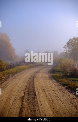 pleasing the senses or mind aesthetically country gravel road in autumn colors in fall colors with mist and foggy trees on both sides Stock Photo