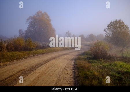 pleasing the senses or mind aesthetically country gravel road in autumn colors in fall colors with mist and foggy trees on both sides Stock Photo