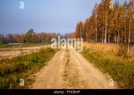 pleasing the senses or mind aesthetically country gravel road in autumn colors in fall colors with mist and foggy trees on both sides Stock Photo