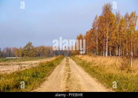 pleasing the senses or mind aesthetically country gravel road in autumn colors in fall colors with mist and foggy trees on both sides Stock Photo