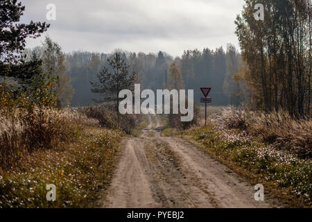 pleasing the senses or mind aesthetically country gravel road in autumn colors in fall colors with mist and foggy trees on both sides Stock Photo