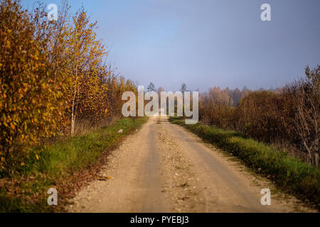 pleasing the senses or mind aesthetically country gravel road in autumn colors in fall colors with mist and foggy trees on both sides Stock Photo