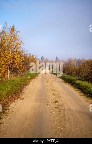 pleasing the senses or mind aesthetically country gravel road in autumn colors in fall colors with mist and foggy trees on both sides Stock Photo