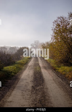 pleasing the senses or mind aesthetically country gravel road in autumn colors in fall colors with mist and foggy trees on both sides Stock Photo