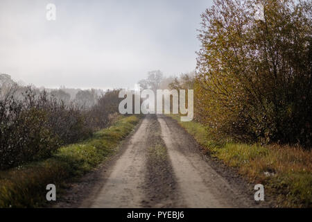 pleasing the senses or mind aesthetically country gravel road in autumn colors in fall colors with mist and foggy trees on both sides Stock Photo