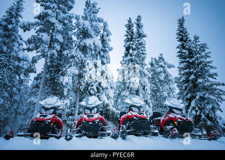 Four brightly colored red and black snowmobiles near Lapland forest. Vehicles parked in line near high firs in Lapland, Finland. Heavy snow on trees a Stock Photo