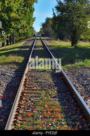 A empty section of train tracks through the town of Sussex New Brunswick Canada. Stock Photo