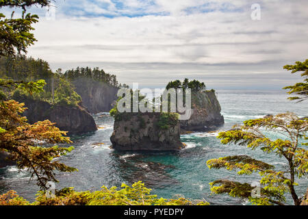 Sea Stacks off of Cape Flattery, Makah Reservation, Olympic National Park, Washington state, USA Stock Photo