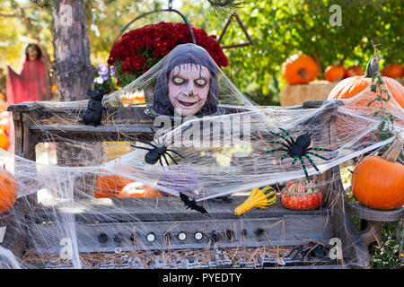 Halloween decorations at a pumpkin patch Stock Photo