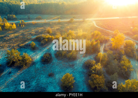 The road along the forest at sunset. Beautiful aerial view at the forest with colorful trees in autumn at sunset Stock Photo