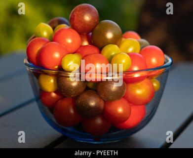 Fresh organic tamatoes on a table Stock Photo